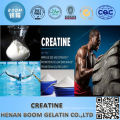 Factory promote creatine monohydrate powder supplement